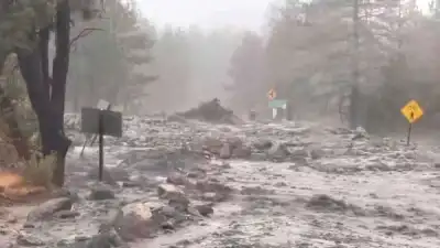 Image for Storm Hilary slams Southwest U.S. with heavy rain