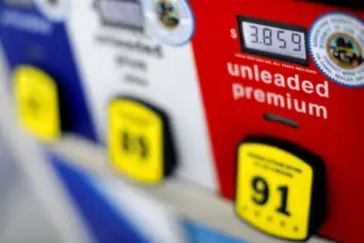 Image for Oil prices climb as deep freeze shuts U.S. oil wells, curbs refineries