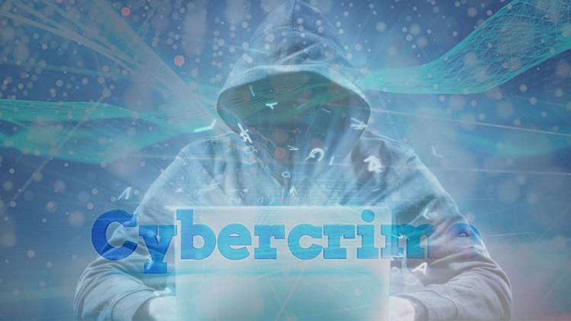 Image for Understanding today’s hacker and avoiding the cost of cybercrimes