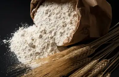 Image for Pre-cooked Flour Market is Projected to Climb $5.3 Billion with a CAGR of 5.4% By 2034