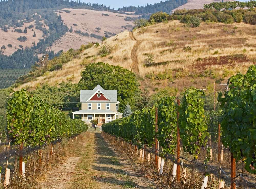 Tips to buy a home in your 20s