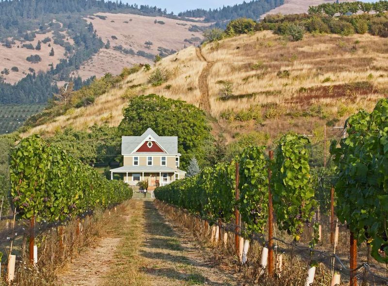 Image for Tips to buy a home in your 20s