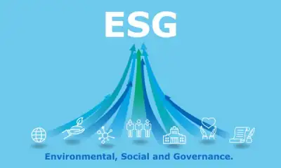 Image for The ‘S’ in ESG’s Impact on M&A & How to Mitigate Risks