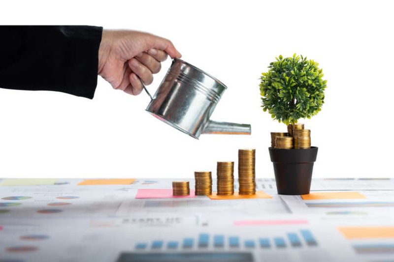 Image for Investing in Water: Opportunities in Sustainable Resource Management