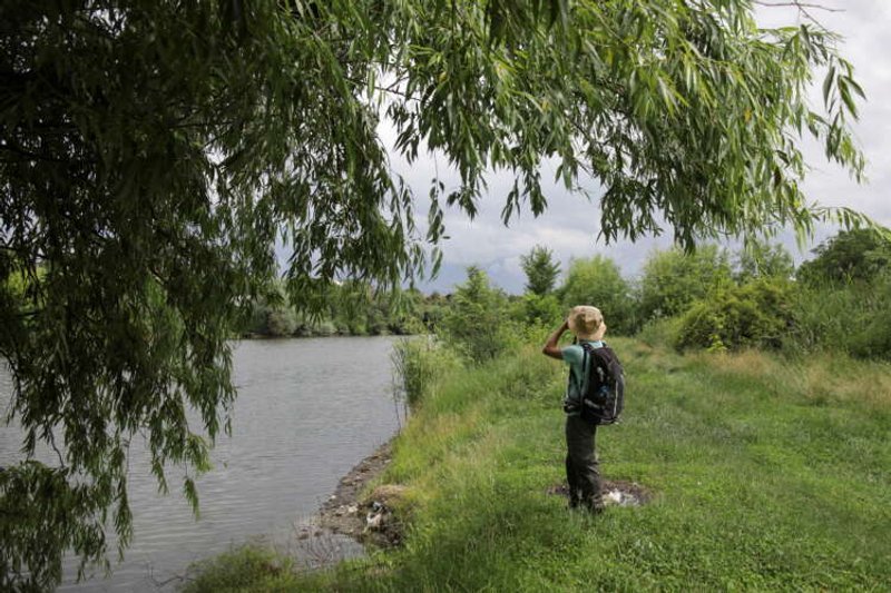 Image for Conservationists race to protect rich wildlife on edge of Bucharest