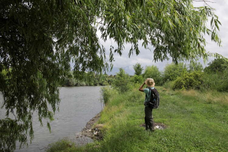 Biologist Vlad Ciofleci observing birds at Dobroesti Lake, Romania - Global Banking & Finance Review