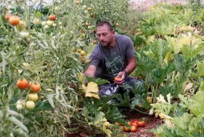 Image for Back to the land: Lebanese family turns to farming to survive crises