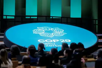 Image for Explainer-COP29 – How does $300 billion stack up?