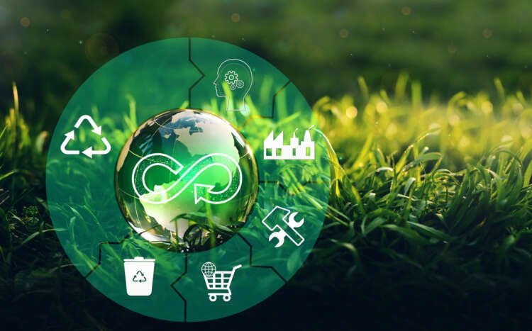 Sustainable business practices promoting environmental responsibility - Global Banking & Finance Review