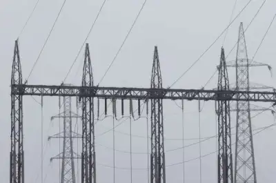 Image for Belgium supports energy price caps, suspending trading in EU power crunch