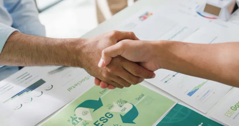 Image for AI investments should not be taking over ESG in corporate strategies