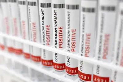 Image for Exclusive-WTO faces new battle over COVID tests, drugs