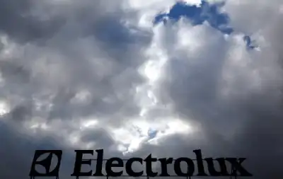 Image for Electrolux swings to operating profit in Q2