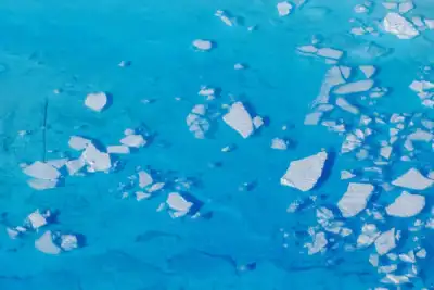 Image for Exclusive: World Bank revises climate policy but stops short of halting fossil fuel funding