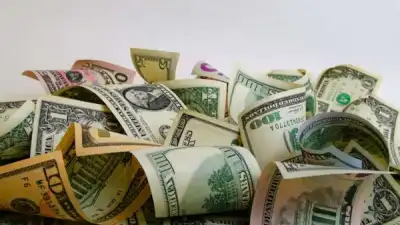 Image for Earnings to the Rescue