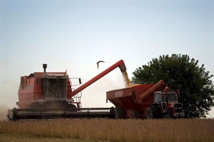 Farmers harvesting soybeans in Argentina amid rising soybean oil prices - Global Banking & Finance Review