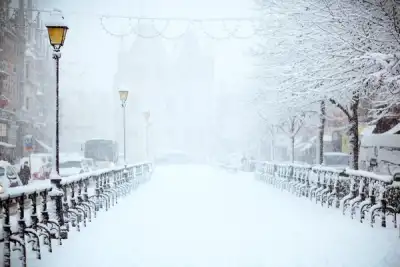 Image for Moldovan president warns of 'harsh winter' in inauguration speech