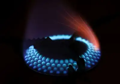 Image for Germany resists EU ban on Russian gas as bloc prepares new sanctions