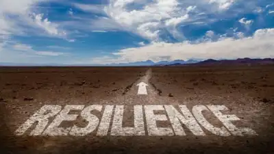 Image for Investing for Infrastructural Resilience