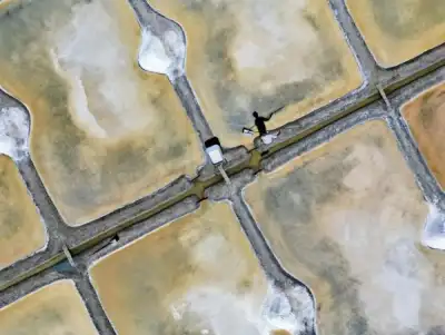 Image for The unwitting winners of France’s drought: salt farmers