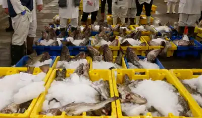 Image for Fish and cheese: UK inks trade deals with Norway, Iceland