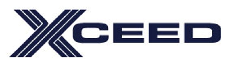 Image for Xceed Group: Big change doesn’t have to mean big pain