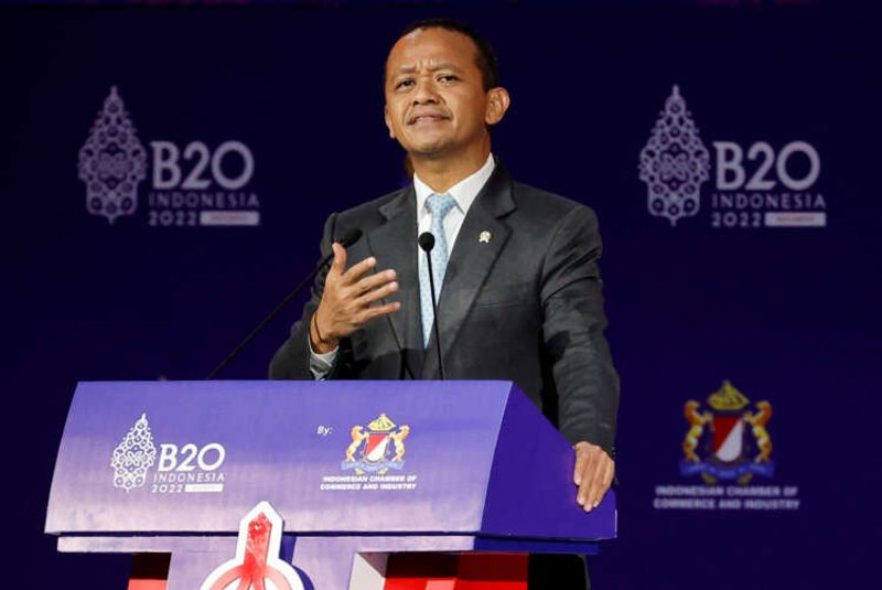 Image for Volkswagen to partner on Indonesia EV battery ecosystem -minister