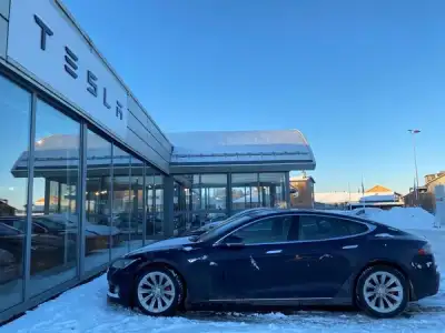 Image for Tesla loses market share in Sweden, Norway as Musk looms large