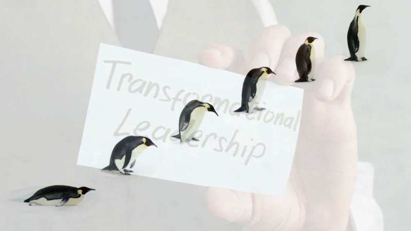 Image for Calling for an evolution of leadership: today’s leaders need a high care quotient