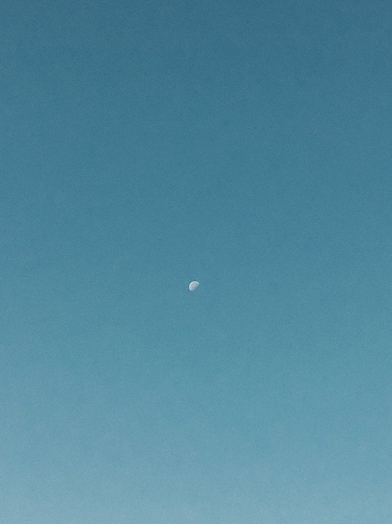 Image for French blue-chips lead European stocks lower on budget angst