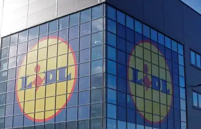 Image for Discounter Lidl to step up UK store openings