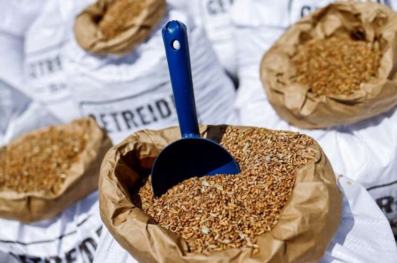 Image for Exclusive-Britain, Germany push G7 for halt to biofuel mandates to tame food prices