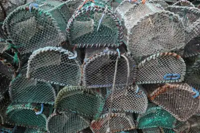 Image for UK fishing sector sees more job losses if post-Brexit export troubles not tackled soon