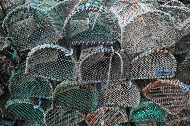 Image for UK fishing sector sees more job losses if post-Brexit export troubles not tackled soon