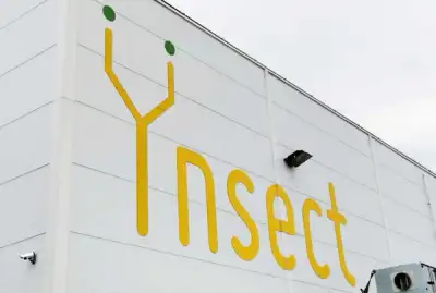 Image for France’s Ynsect to refocus bug business after capital increase
