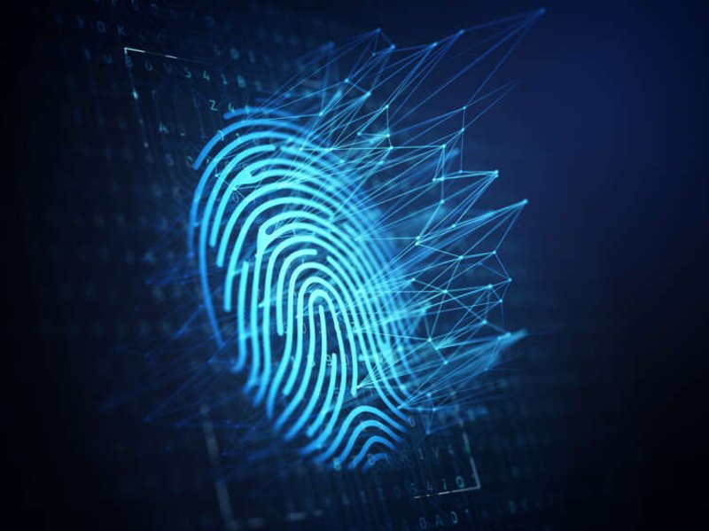 Image for The Online Safety Bill and the case for a digital identity utility