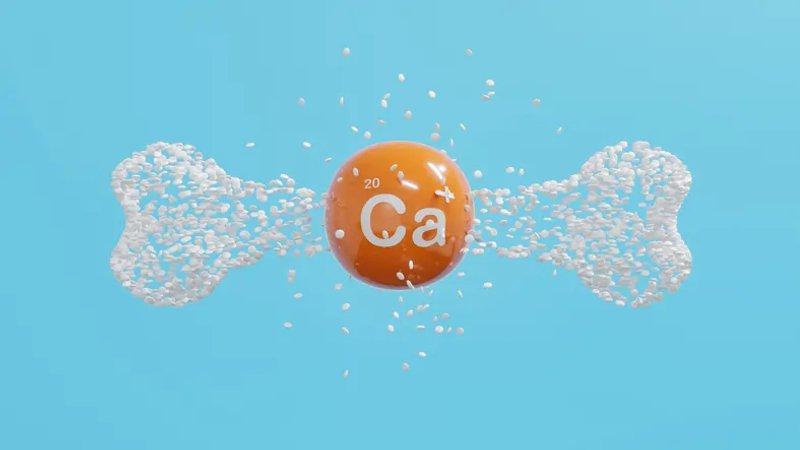 Image for WhatsApp your Insurer – The Future of Customer Service