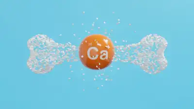 Image for Latest innovative report on Trade Finance Market by top key players like Webster Bank, Zions Bancorp, Cullen/Frost Bankers, First National Bank of Omaha, Citi