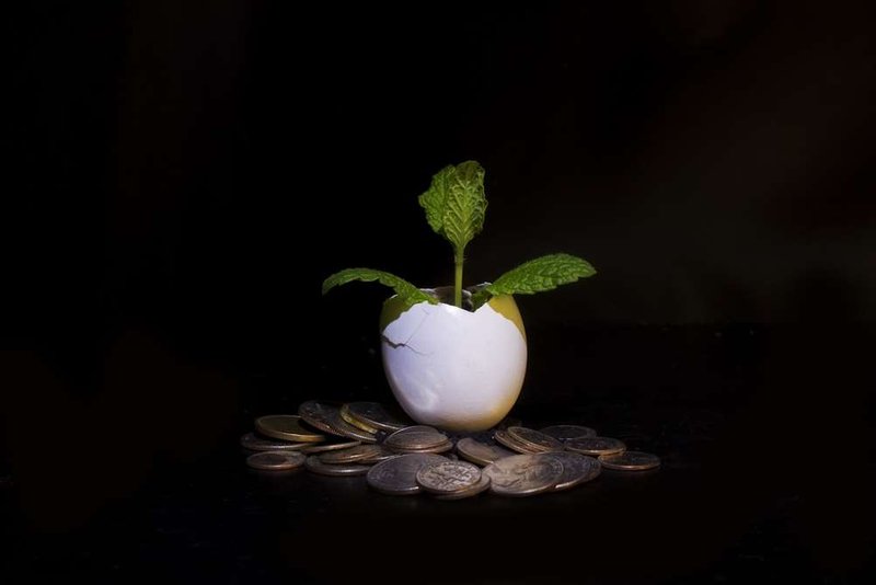 Image for Profiting online is no longer just a pipe dream