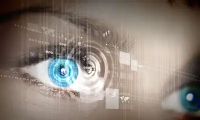 Image for Scanning the horizon: emerging markets in biometrics