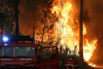 Image for Firefighters scramble to put out flames in heatwave-hit Portugal, Spain