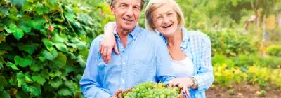 Image for How to Save for Retirement