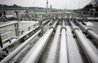 Image for Germany approves law mandating full gas storage before winter