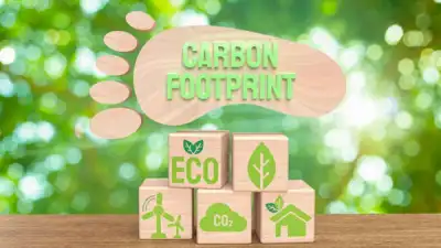 Image for Carbon footprint: offering consumers more insight on the impact of their purchases