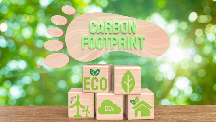 Image for Carbon footprint: offering consumers more insight on the impact of their purchases