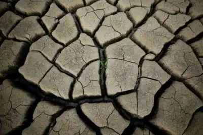 Image for Analysis – U.N. climate report increases urgency for green investment funds