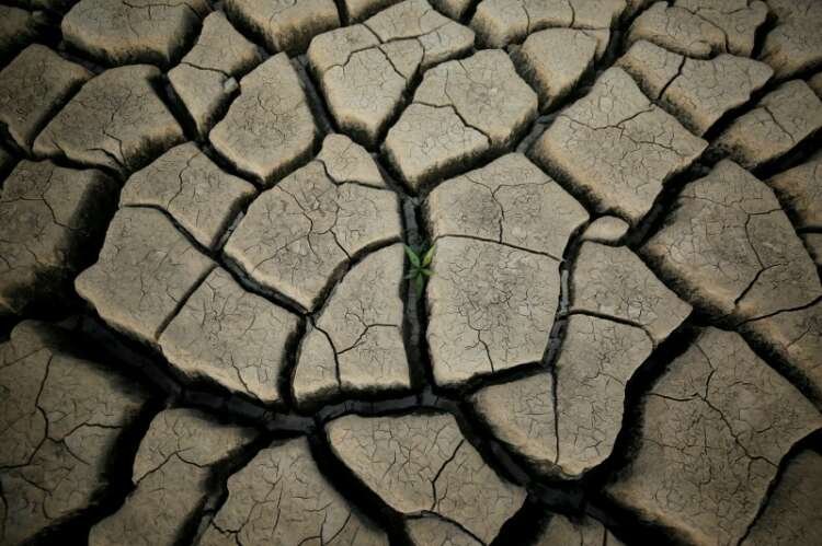 Image for Analysis – U.N. climate report increases urgency for green investment funds