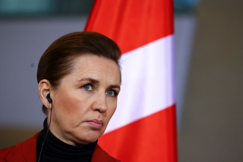 Image for Denmark has full European backing to maintain respect of borders, Danish prime minister says