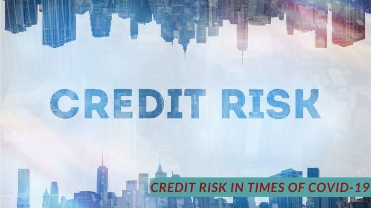 Image for In sickness and in debt – sovereign credit risk in times of covid-19
