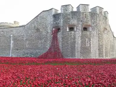Image for FINAL POPPY PLANTED TO MARK ARMISTICE DAY